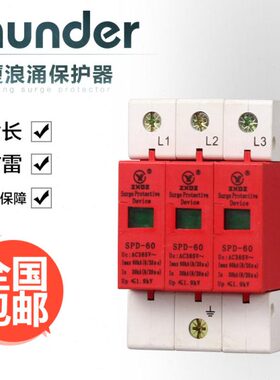 中厦浪涌家用防雷击避雷器开关电涌/泳保护器SPD60KA3P3极220vB级
