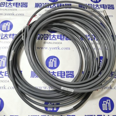 免邮实拍进口 顿汉布什水温传感器 温度探头 MCS-T300