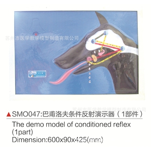 SMO047巴甫洛夫条件反射演示器（1部件）