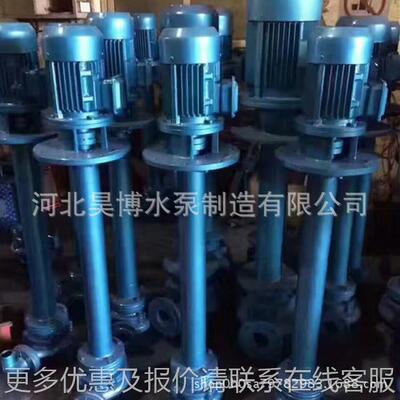 84015-0-4型立式液排污泵不下锈钢双XAN管离心泵 大流量杆泵