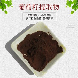 葡萄籽油 OPC原花青素 葡萄籽粉 资质齐全 葡萄籽提取物30 包邮