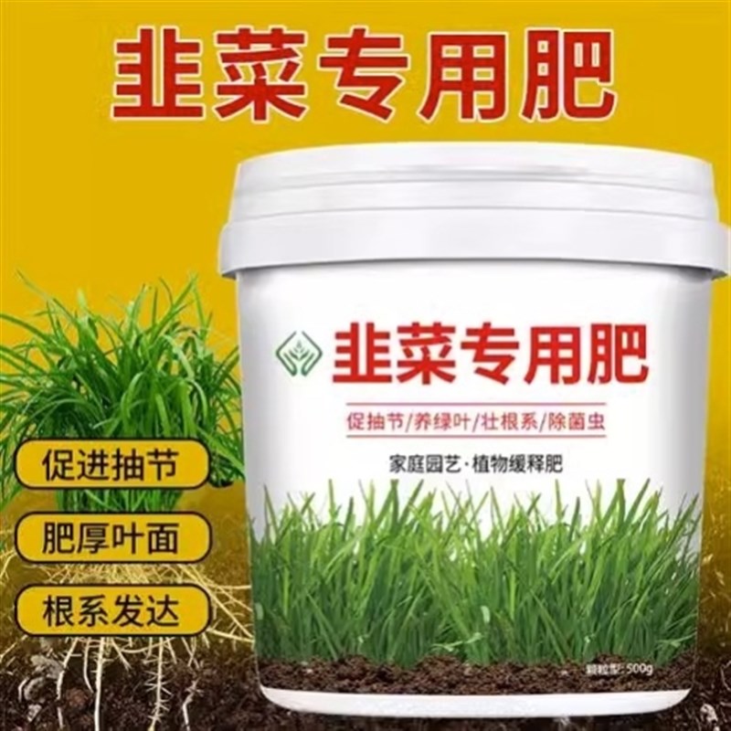 抖音韭菜专用肥韭菜根旺株壮家庭韭菜苗I种菜肥料花肥肥颗粒缓释