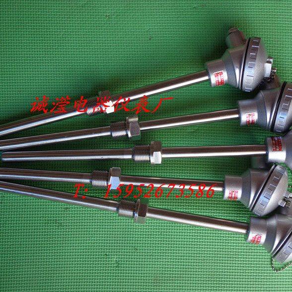 装配式热电偶 WRN2-230/固定螺纹连接双支装配式热电偶/K型热电偶