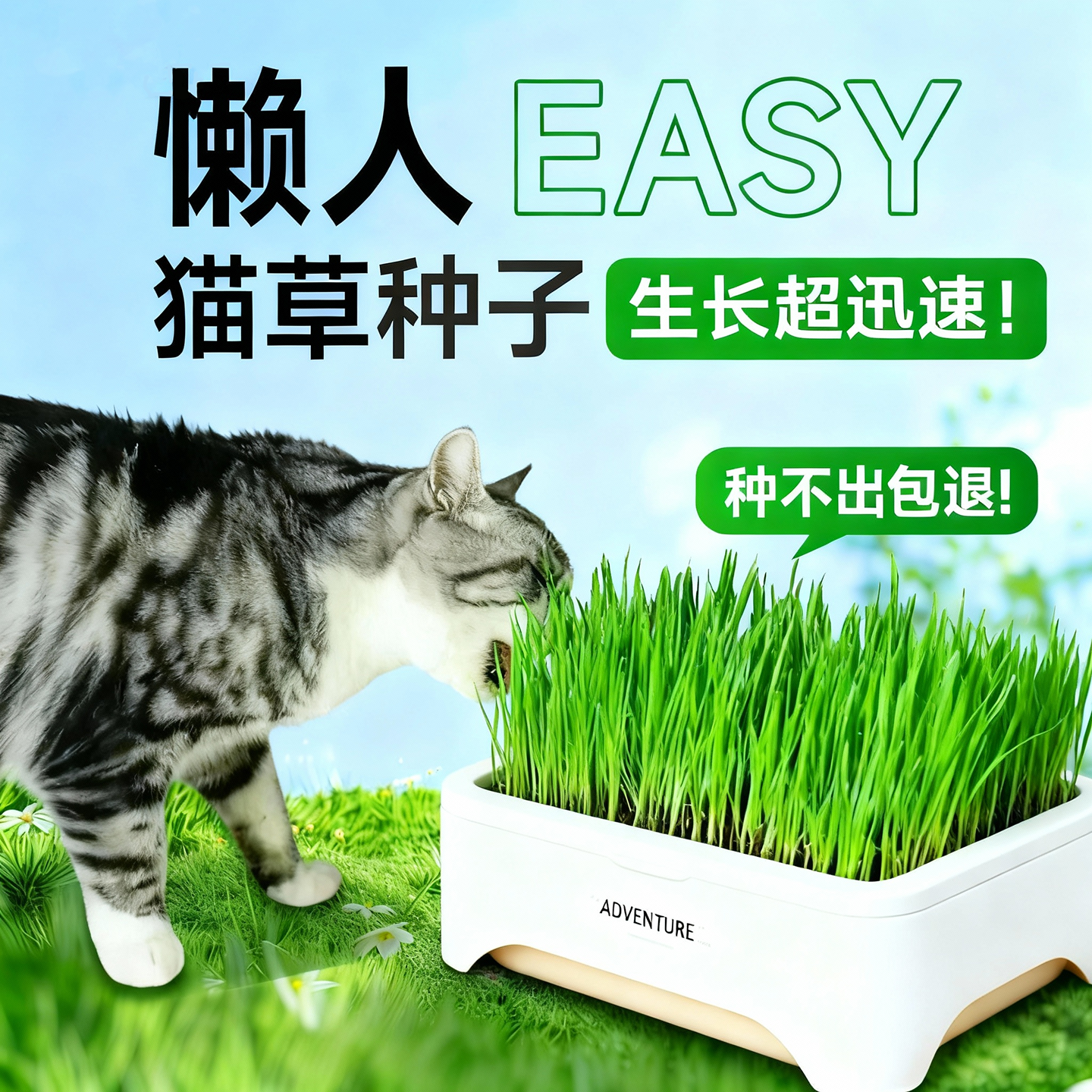猫草盆栽水培盒种籽育苗盘化毛