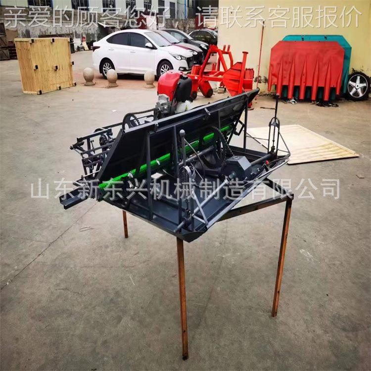 农用水插秧机稻 手步进式BFG4行6行水稻扶种植 机小型栽苗机插秧