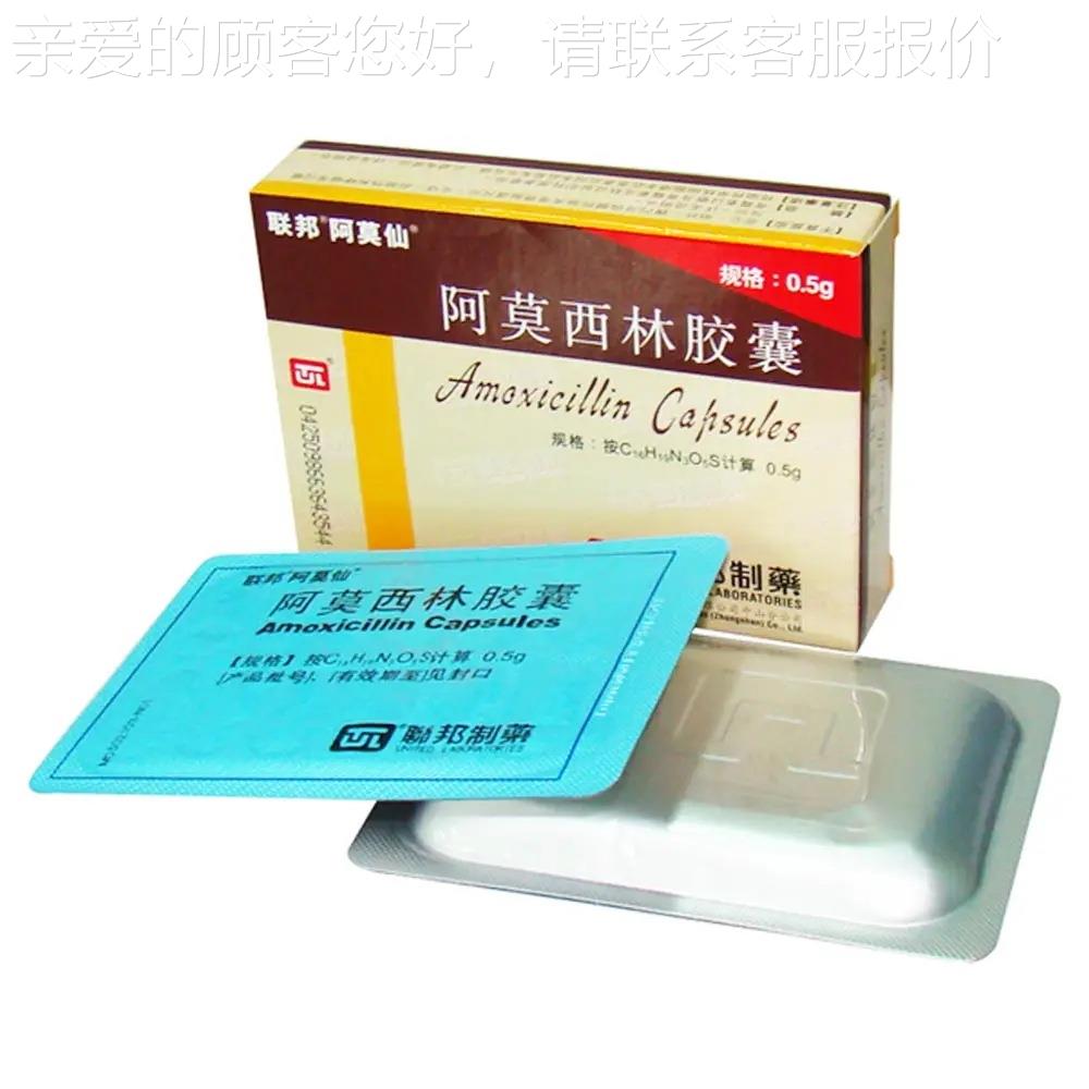 瓶048温州卧口服液盒包机板药药自锁底折盒式机胶囊自动扣底装盒