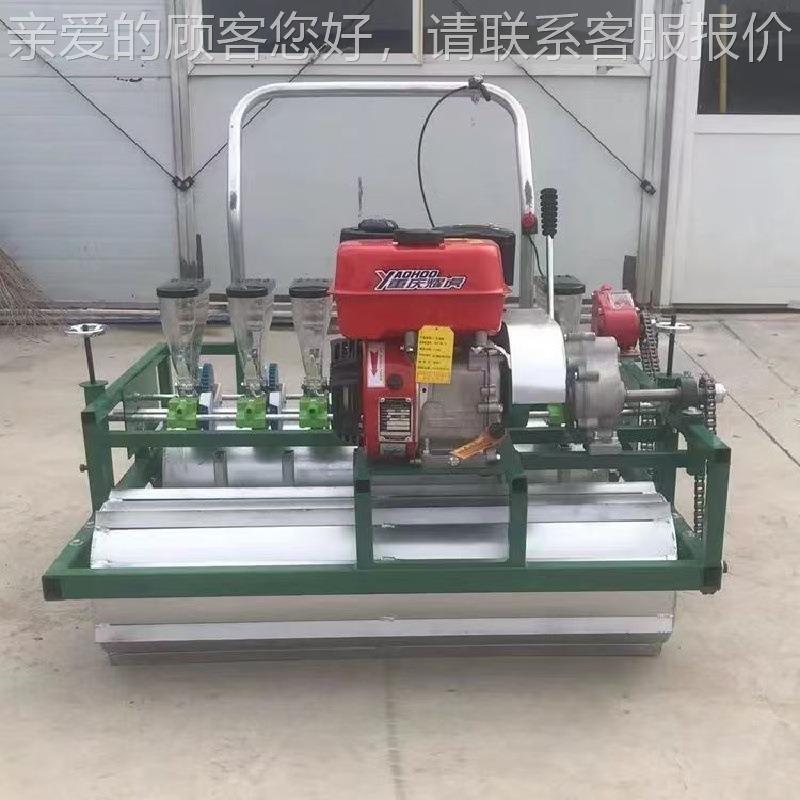 甘蓝机菜播种 电动育苗汽油精播机 免间RLI苗芩点黄播蔬机