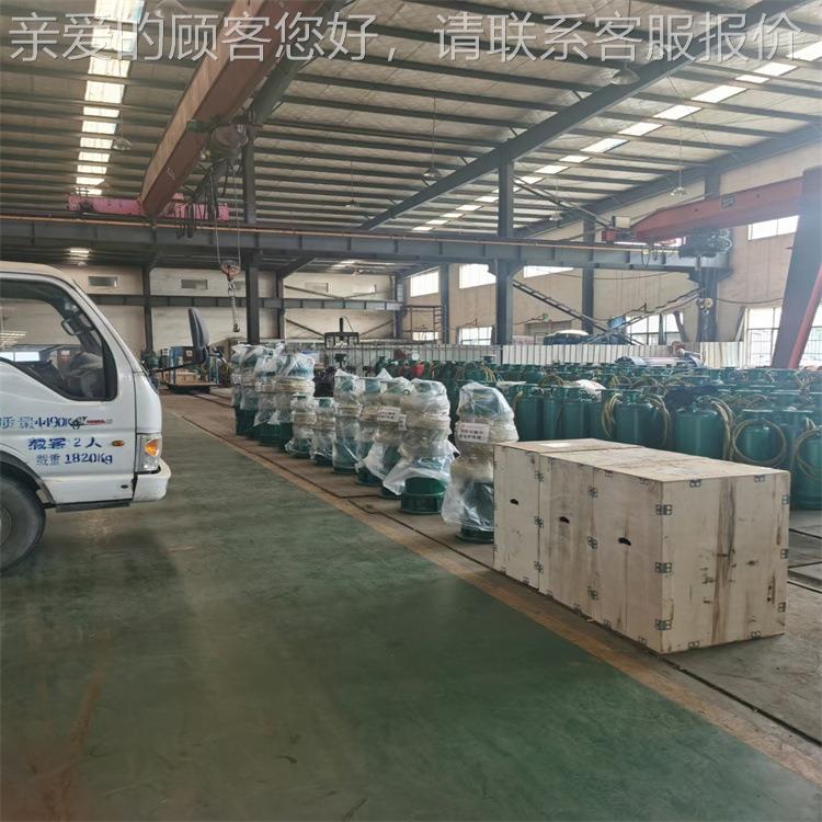 BQS60060-145785/N潜水泵- 结构紧凑 封性能 防密爆潜水好泵