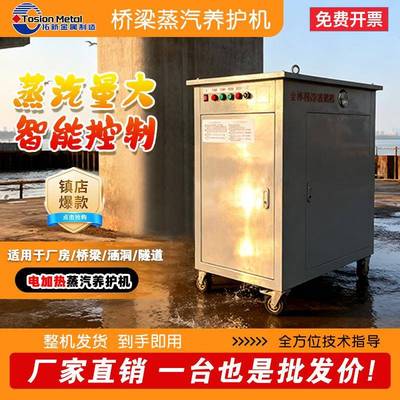 公路混凝土养护机T型梁地砖24kw电加热蒸汽发生器混凝土蒸养设备