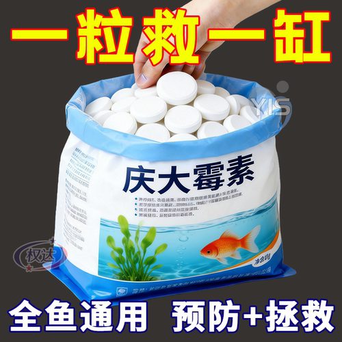 庆大霉素鱼病专用药鱼缸水体护理金鱼锦鲤热带鱼观赏鱼体质维护用