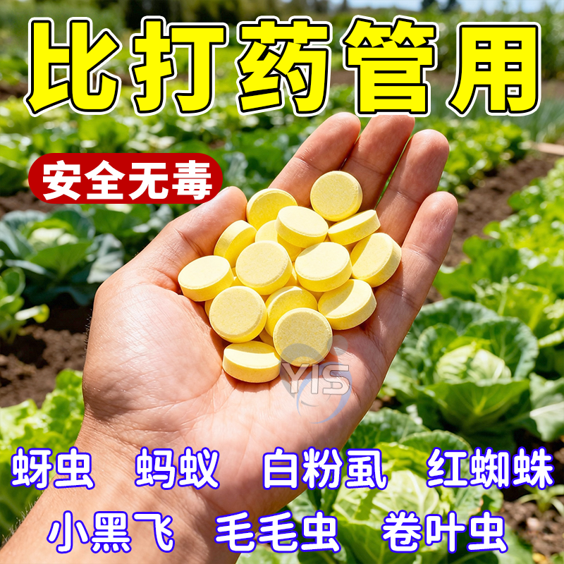 家庭园艺防虫片防小黑飞蚜虫白粉虱小菜蛾飞虫专用花卉绿植多肉,鲜花速递/花卉仿真/绿植园艺,家庭园艺肥料,淘宝优惠券,粉丝福利购,淘宝优惠卷