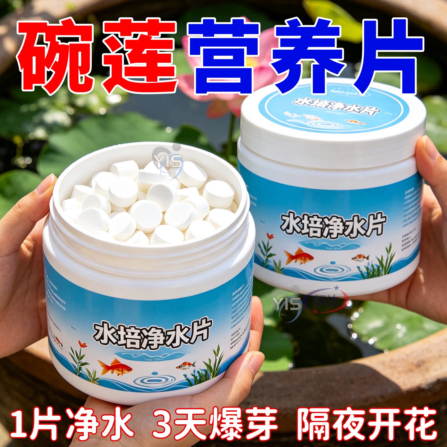 碗莲净水片荷花鲜花保鲜消毒片水培植物专用净水片除臭杀菌净水剂