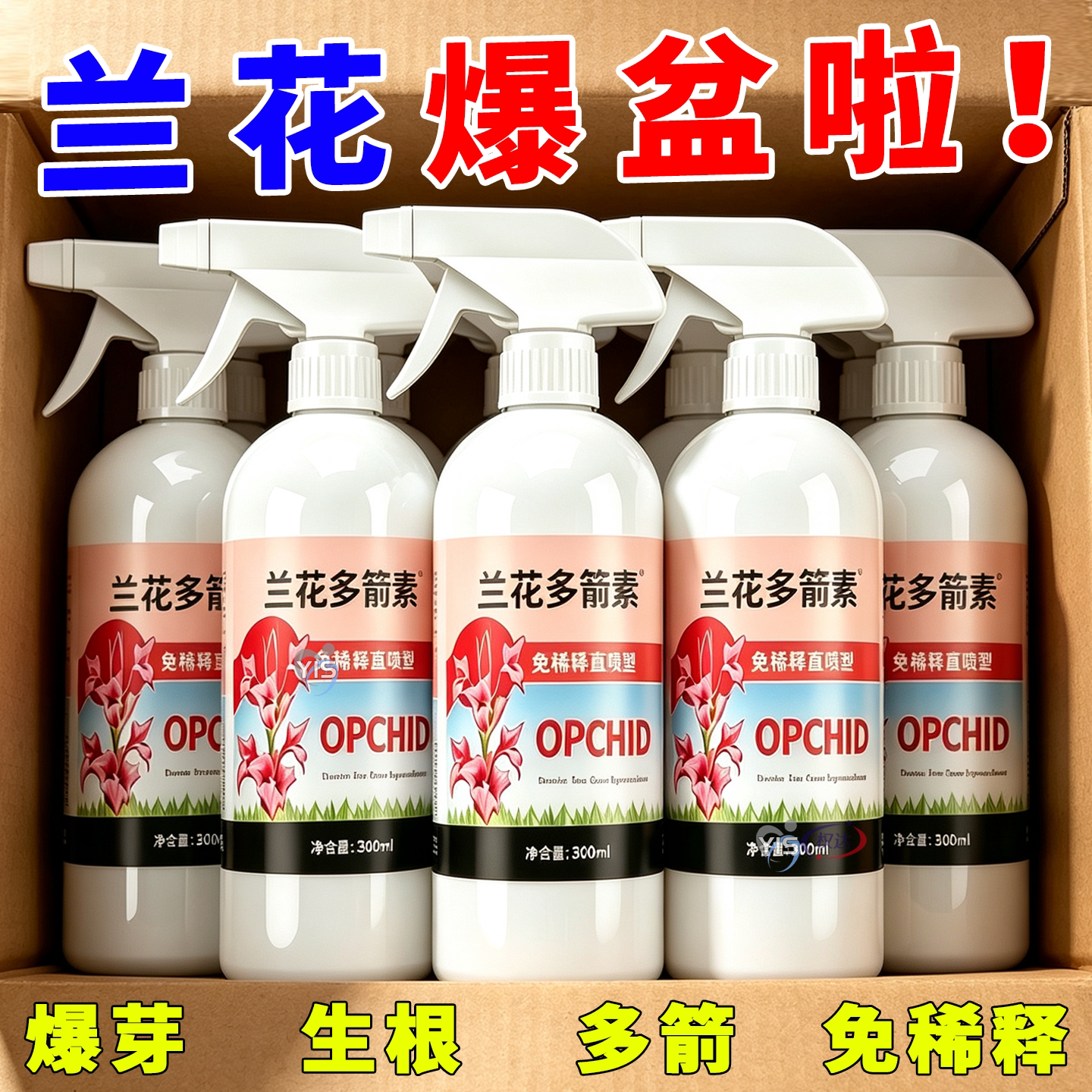 【告别少箭不开花】家养兰多箭素