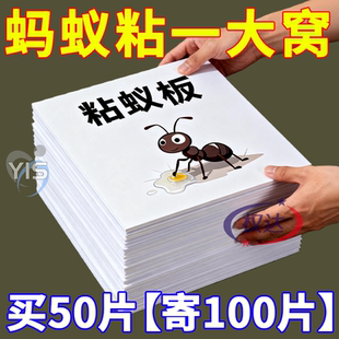 强力粘蚂蚁板高效捕捉神器大小蚂蚁通杀无处逃室内外通用无毒无害