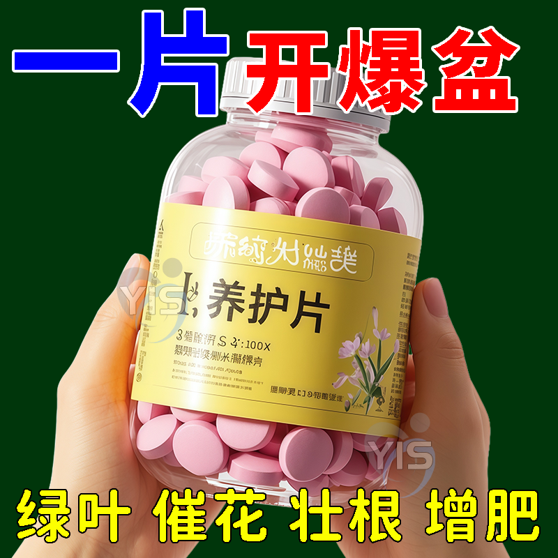 植物营养片通用型家庭园艺缓释肥养花肥料家用盆栽通用花卉果蔬肥