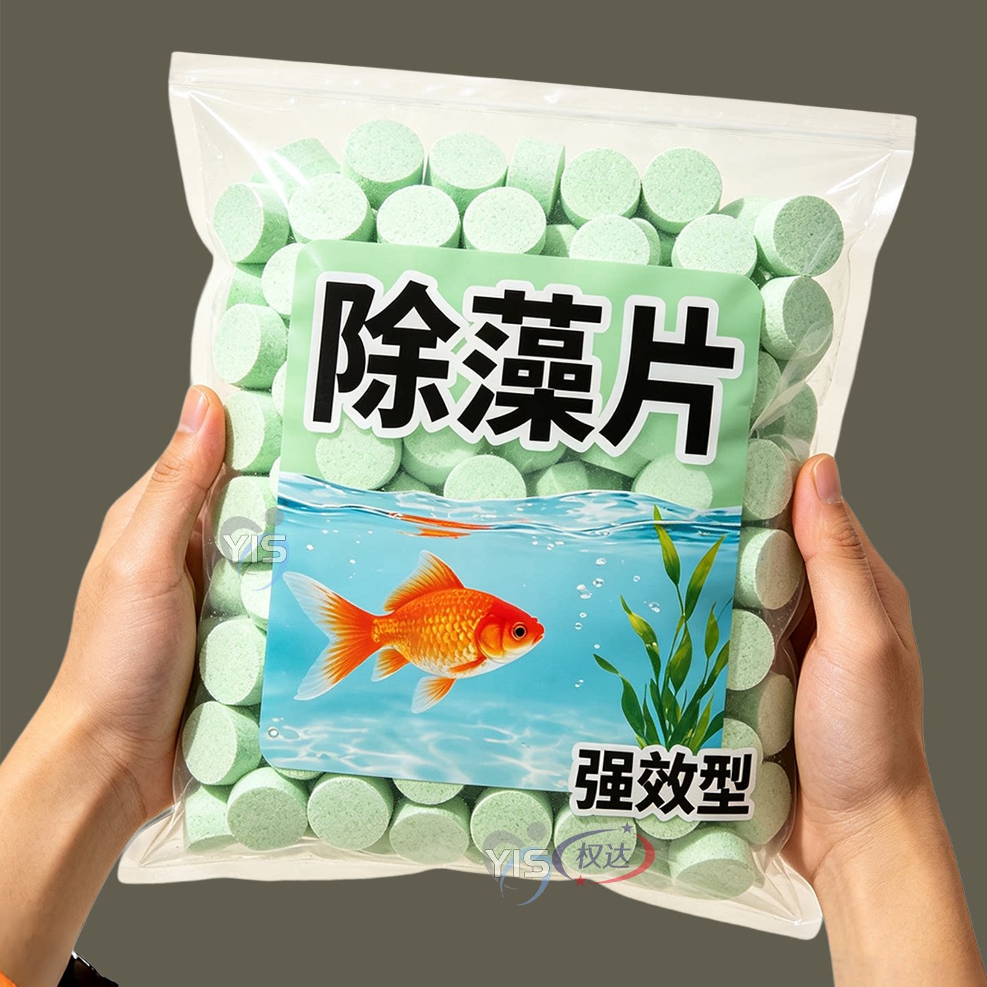 鱼缸除藻片绿藻青苔清除神器鱼缸除绿水褐藻丝藻黑藻水垢新款