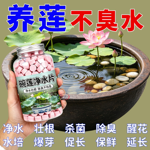 碗莲荷花净水片催芽睡莲开花黄叶叶面黑烂叶增肥水培绿植园艺肥料