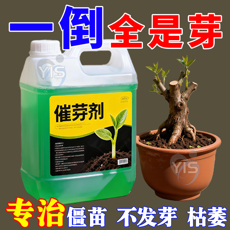 【新芽猛长】老桩催芽剂促芽僵苗快速发新芽防黄叶促花营养,鲜花速递/花卉仿真/绿植园艺,家庭园艺肥料,淘宝优惠券,粉丝福利购,淘宝优惠卷