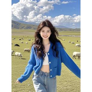 2套025新款春秋女慵懒穿搭高级风感克莱因蓝毛衣针织sx159004开衫