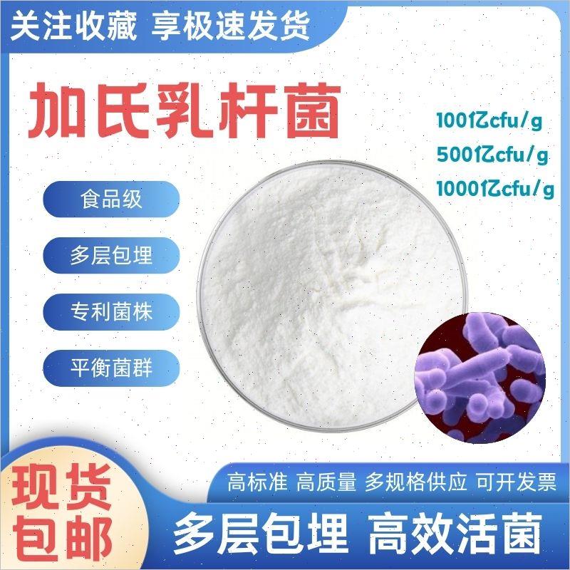 加氏乳杆菌益生菌冻干粉高活性格氏乳酸菌粉固体饮料食品级现货A