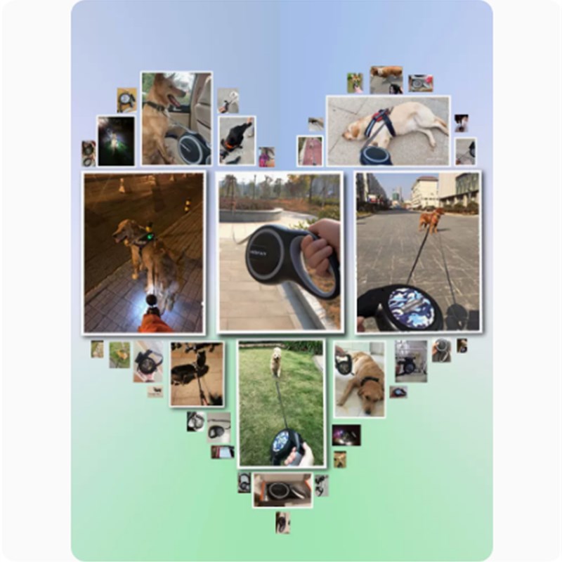 狗狗牵引绳大型犬金毛自动伸缩遛狗8米中小型犬狗链子大狗牵狗绳