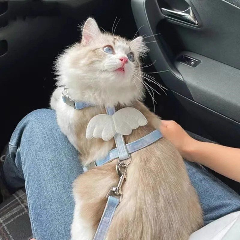 宠物猫咪牵引绳翅膀遛猫工字绳防挣脱外出专用宠物猫绳子自由调节,宠物/宠物食品及用品,猫牵引绳,淘宝优惠券,粉丝福利购,淘宝优惠卷