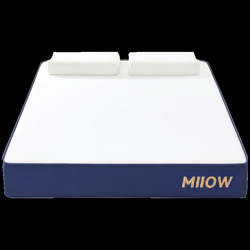 独立弹簧床垫家用软垫席梦思乳胶海绵垫子租房专用卧室酒店可定制