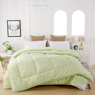 超柔软拉链款九孔纤维被二合一子母被芯冬被春秋被双人加厚保暖被