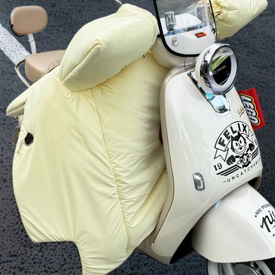 电动车挡风被冬季加绒加厚2025年新款防水电瓶摩托冬天冬款防风罩