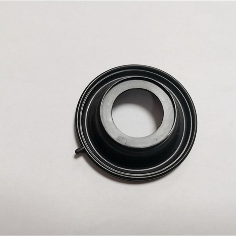 适用丽彩QS125T-2B韵彩QS100T-B睿彩QS125T-4B化V油器真空膜柱吊