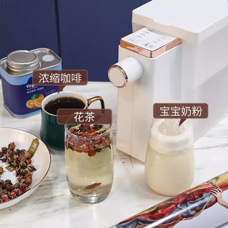 110v伏电压j即热式饮水机便携家用出口台湾加拿大香港小家电