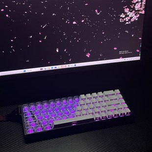 原厂高度透光pbtF侧刻键帽适配机械键盘磁轴键 透明侧刻双拼键帽