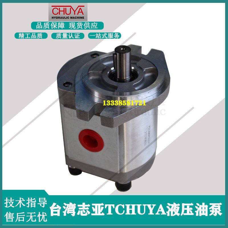 CHUYA台湾 HGP-05A HGP-1A HGP-2A HGP-3A RX10 2B 4BD 4BJ齿轮泵