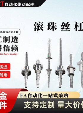 BSST/BSSC/BSSTK/BSSCK1505/1510/1516/1520/2005/2010滚珠丝杆