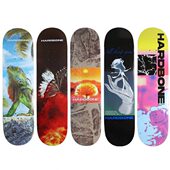 硬骨滑板万物生长系列