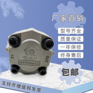 F9R F11R F2R 高压齿轮油泵 现货 F6R HGP2AF8R F4R 新鸿 F12R