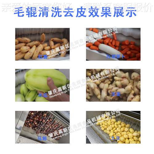 莲藕毛刷清机 备土清豆大姜全自动洗毛辊清洗设MQL 贝壳类洗去泥