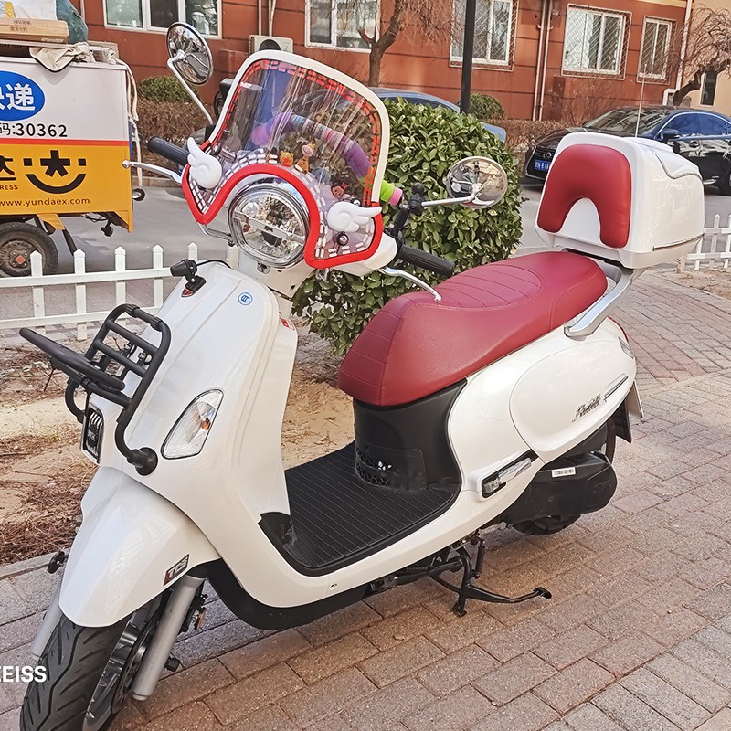 适用三阳飞度5尾箱踏m板摩托车fiddle150复古后备箱载物行李箱尾