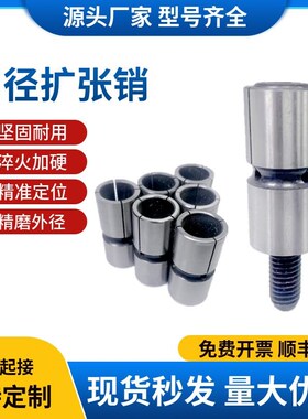 内撑夹头CcNC快速定位内径扩张销手动内撑夹具气动内孔扩张蓬胀销