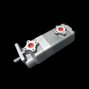 F66R 12R F22R F11R F99R F88R F55R F44R F33R 22A 双联齿轮泵UG