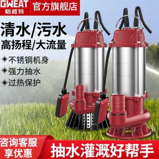 全自动家庭用水排污小型井用抽水 格威特家用不锈钢潜水泵浮球款