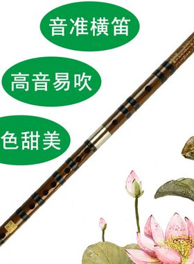 苦竹笛子精制演奏横笛曲笛梆笛大降BC升CD降EEFG小A调低高音乐器