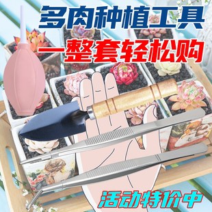 多肉铲子工具套装不锈钢镊子园艺小铲子铲土三件套养花夹种植水壶