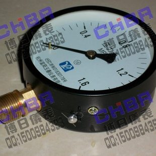 1.6MPA 100径向系列一般普通压力表0 杭州富阳玉春仪表Y100