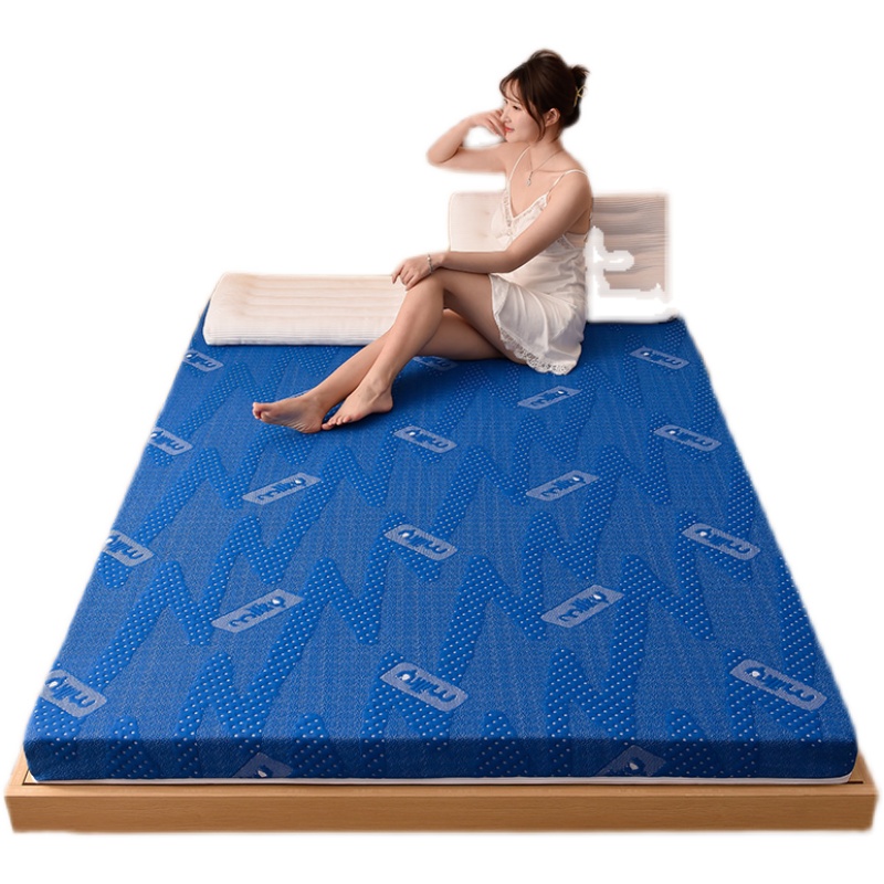 可拆卸记忆海绵床垫软垫海绵加厚家用双人可折叠榻榻米垫褥子10cm