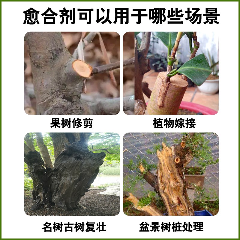 嫁愈植物剂愈i伤涂膜剂盆栽果盆景树木嫁接修剪伤愈膏封口