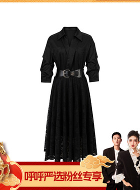 【呼呼严选专享】商场同款春季V领蕾丝大摆连衣裙N192A51512