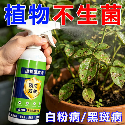 家用园艺两用菌立清强效抑霉除菌