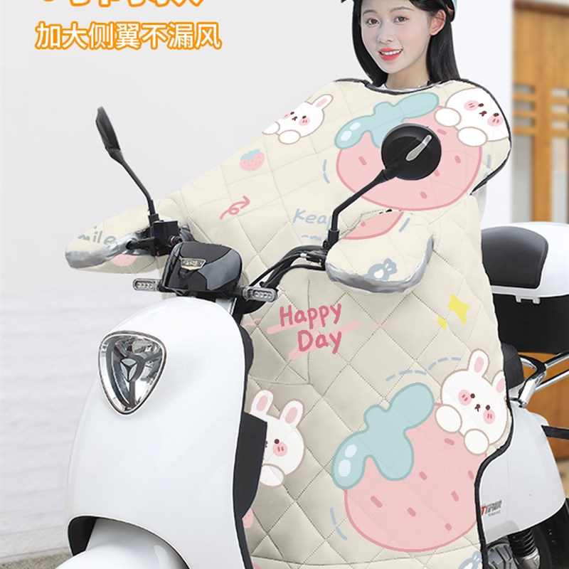 电动车机车电动车挡风被薄款夏四季通I用加厚双面防水防风罩冬季