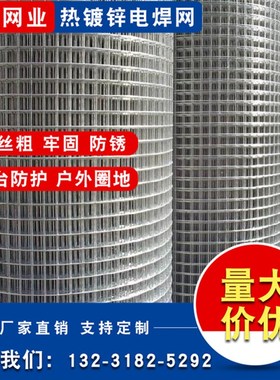 热镀锌铁丝网围栏钢丝网养殖护栏隔离防护热镀锌防鼠蛇电焊网小孔